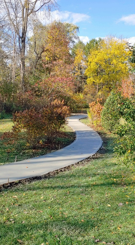 A walking path lined with plants in fall colors