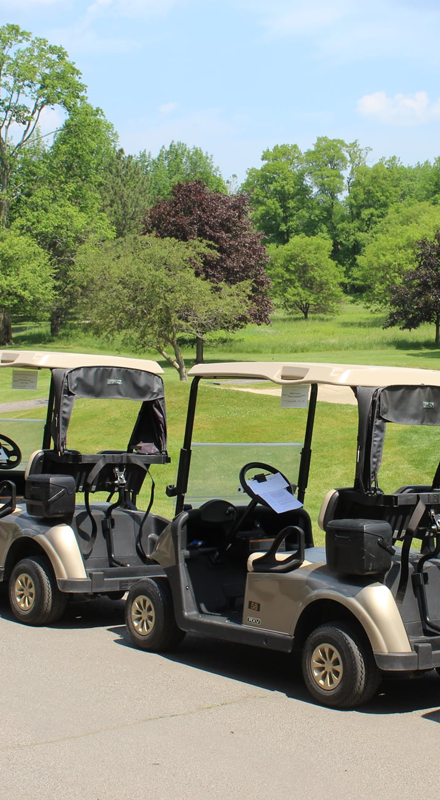 Golf carts in front of trees